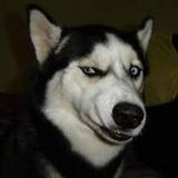 angryogr's avatar