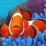 Will Winaton's avatar