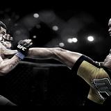 Chael Sonnen's avatar