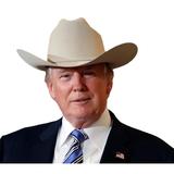 DoyleTrump's avatar