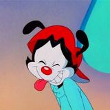 tekk's avatar
