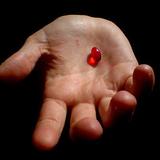 TruthS33ka's avatar